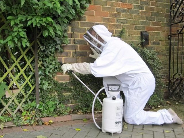 Other Types of Pest Control in Worthing