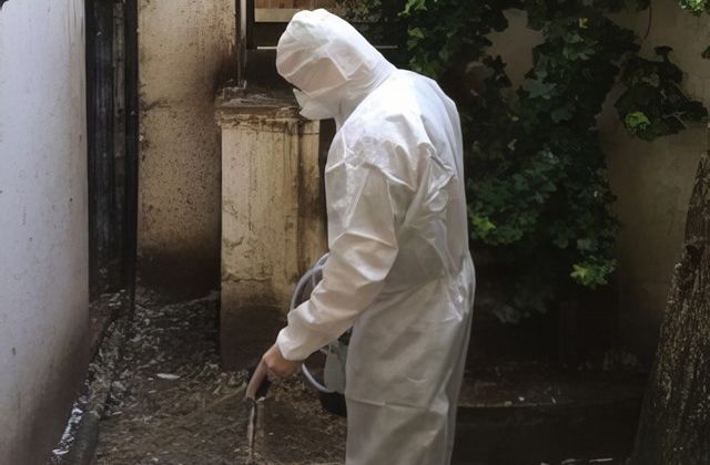 Pest Control