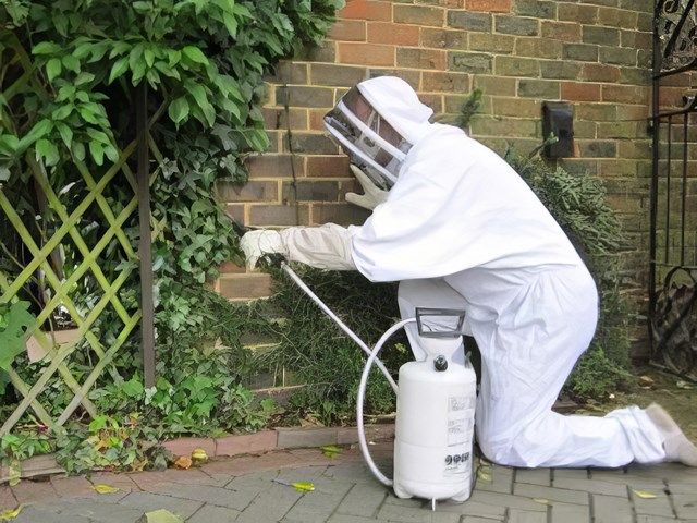 images/other/slider/other-pest-control-3-kireth-ai.jpeg