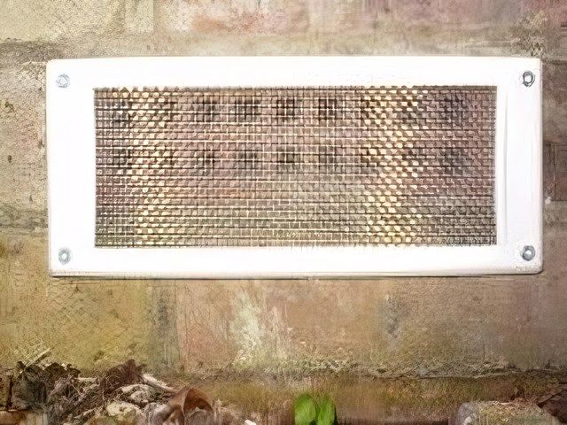 images/rodents/slider/rodent-pest-control-4-kireth-ai.jpeg